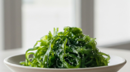 Alga Wakame01