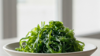 Alga Wakame01